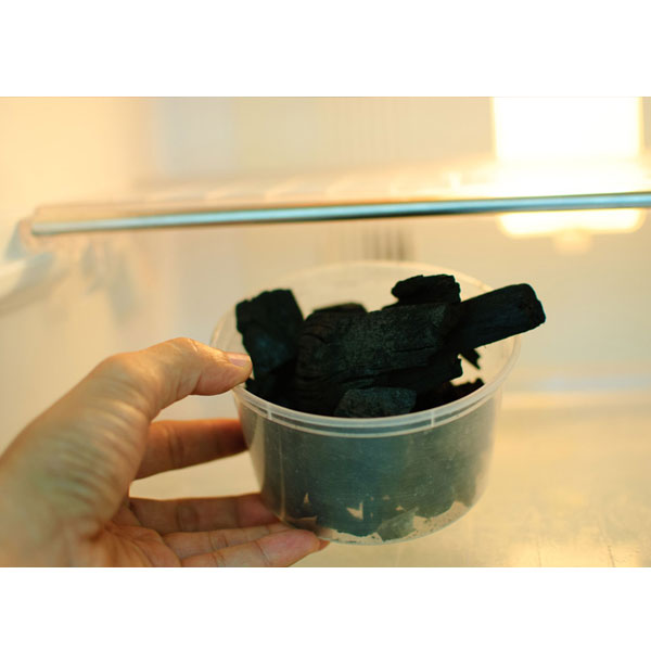 چگونه بوی بد یخچال را از بین ببریم ؟