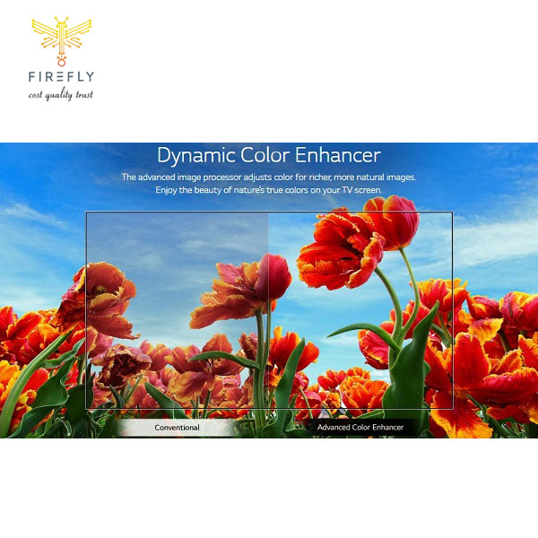 تلویزیون ال جی 43LM5700 - فایرفلای