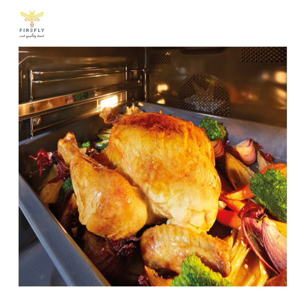 فر توکار گرنیه مدل BSA 6747 A04BGWI فایرفلای